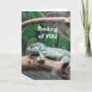 Search for funny lizard birthday cards Photography