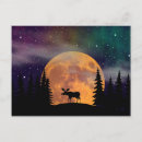 Search for northern lights postcards Moose
