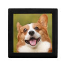 Search for dog gift boxes Pets