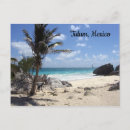 Search for palm tree postcards Beach