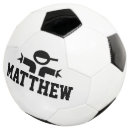 Search for soccer balls Player