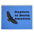 Search for falcon calendars birds of prey