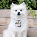 Search for funny dog collars Create your own