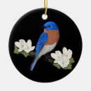 Search for bird ornaments Love birds