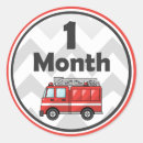 Search for baby month stickers Milestone