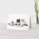 Search for ragdoll cat christmas cards Cute