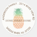 Search for pineapple stickers Modern