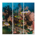 Search for coral reef art Aquatic