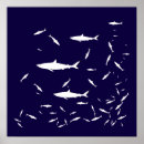 Search for shark posters Under the sea