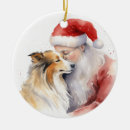 Search for sheltie ornaments Pet
