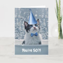 Search for funny cat 50th birthday cards 50 years old