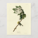 Search for  Illustration