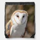 Search for owl bags Animal