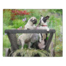 Search for boston terrier puzzles Funny