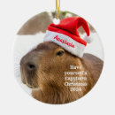 Search for capybara ornaments Santa