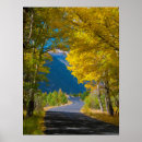 Search for colorado posters Road