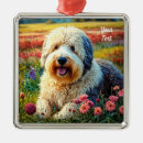 Search for old english sheepdog ornaments Pets