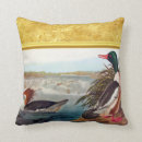 Search for duck pillows outdoors