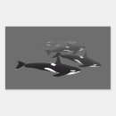 Search for orca stickers Black and white