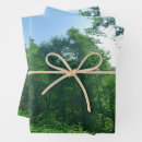 Search for forest green wrapping paper Nature