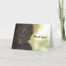 Search for gorilla thank you cards Primate