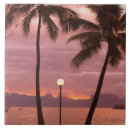 Search for palm tree tiles Colorful