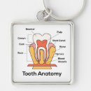 Search for dental keychains Health