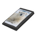 Search for norway wallets Superstock