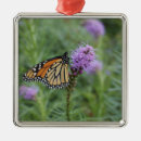 Search for monarch butterfly ornaments Insects