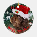 Search for labradoodle ornaments Cute