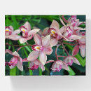 Search for orchid paperweights Nature