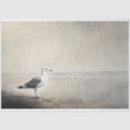 Search for seagull tissue paper Decoupage