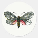 Search for butterfly drawing stickers Moth