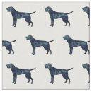 Search for labrador retriever fabric Dog