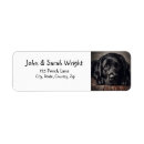 Search for labrador return address labels Retriever