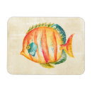 Search for fish magnets Blue