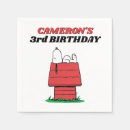Search for snoopy birthday decor Peanuts tableware