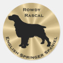 Search for springer spaniel Silhouette