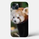Search for bear iphone cases Adorable