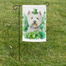 Search for west highland white terrier Cute
