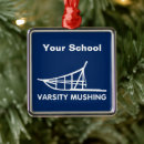 Search for varsity ornaments College