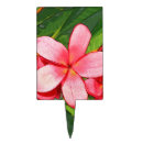 Search for tropical flowers cake toppers Pink