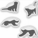 Search for honey badger stickers Wildlife
