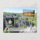Search for madagascar postcards Lemur