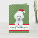 Search for bichon frise christmas cards Xmas