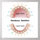 Search for dental posters Healthcare