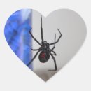 Search for black widow spider stickers Web