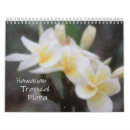 Search for orchid calendars floral