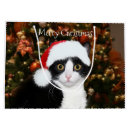 Search for tuxedo gift bags Cat