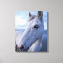 Search for abstract horse paintings canvas prints Farm